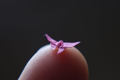 Anna Hedenrud Paper Art Miniatyrer - Rosa Fjäril